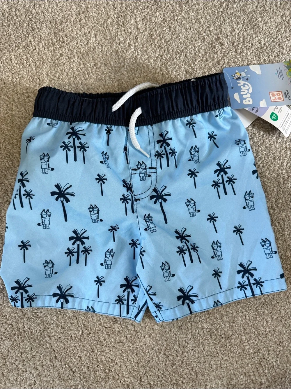 NWT Toddler Boys Bluey Lined Swim Shorts - 3T